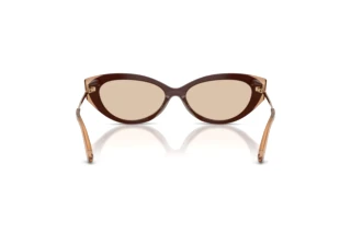Achteraanzicht Jimmy Choo JC5065U (510593)