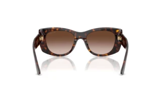 Achteraanzicht Jimmy Choo JC5066U (500213)