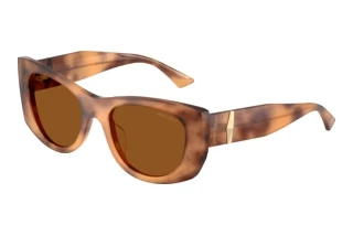 Vooraanzicht Jimmy Choo JC5066U (509673)