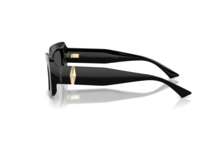 Zijaanzicht Jimmy Choo JC5067 (500087)
