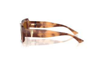 Zijaanzicht Jimmy Choo JC5067 (509673)