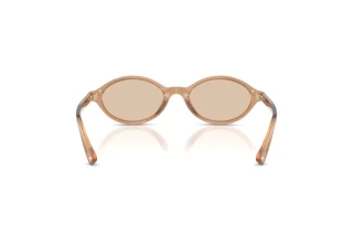 Achteraanzicht Jimmy Choo JC5068U (507693)