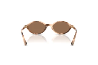 Achteraanzicht Jimmy Choo JC5068U (509773)