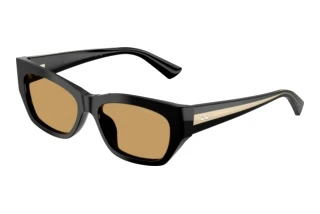 Vooraanzicht Jimmy Choo JC5071BU (500073)