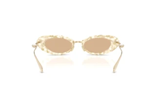 Achteraanzicht Jimmy Choo JC5072H (512673)
