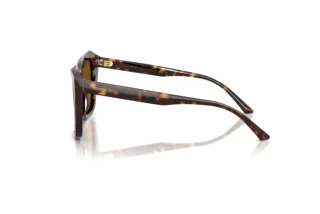 Zijaanzicht Jimmy Choo JC5076 (500283)