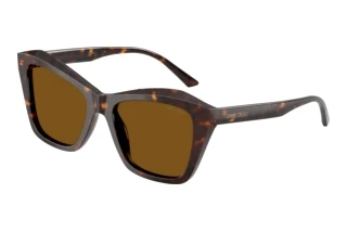 Vooraanzicht Jimmy Choo JC5076 (500283)