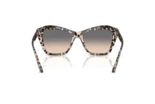 Achteraanzicht Jimmy Choo JC5076 (5115G9)