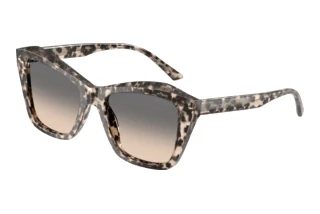 Vooraanzicht Jimmy Choo JC5076 (5115G9)