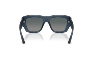 Achteraanzicht Jimmy Choo JC6003U (50906I)