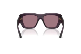 Achteraanzicht Jimmy Choo JC6003U (5092LB)