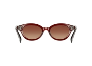 Achteraanzicht Lacoste L6024SRG N (205)
