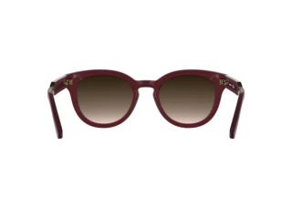 Achteraanzicht Lacoste L6070S (601)