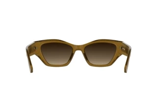 Achteraanzicht Lacoste L6072S (214)