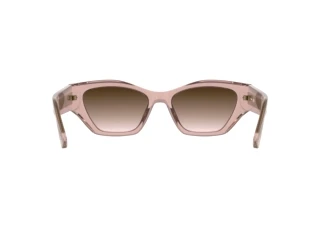 Achteraanzicht Lacoste L6072S (662)