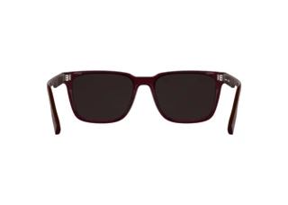 Achteraanzicht Lacoste L6077S (601)