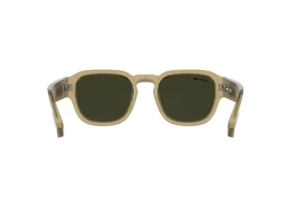 Achteraanzicht Lacoste L6090S (232)