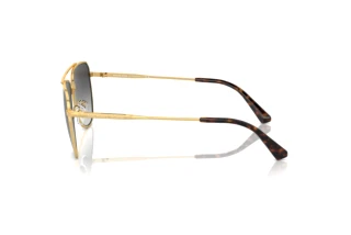 Zijaanzicht Michael Kors WHISTLER (MK1155 - 18968G)
