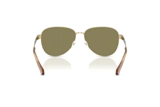 Achteraanzicht Michael Kors BIARRITZ (MK1160 - 10149A)