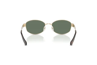 Achteraanzicht Michael Kors MONTE CARLO (MK1161 - 10143H)