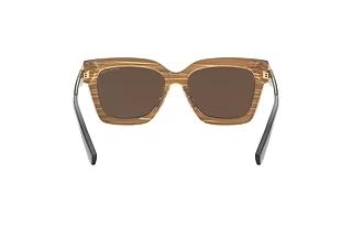 Achteraanzicht Michael Kors BERKSHIRES (MK2102 - 366173)
