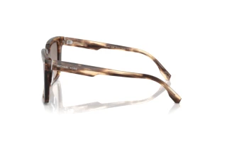 Zijaanzicht Michael Kors ABRUZZO (MK2217U - 39776I)