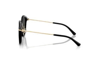 Zijaanzicht Michael Kors TIANJIN (MK2229D - 300587)