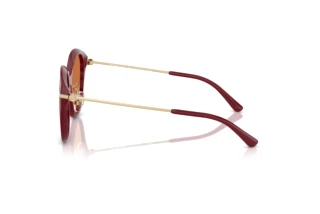 Zijaanzicht Michael Kors TIANJIN (MK2229D - 400473)
