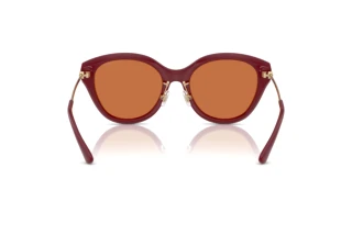 Achteraanzicht Michael Kors TIANJIN (MK2229D - 400473)