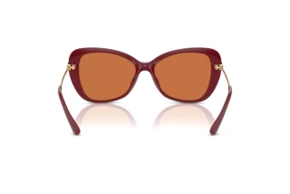 Achteraanzicht Michael Kors SAINT CROIX (MK2230U - 400473)