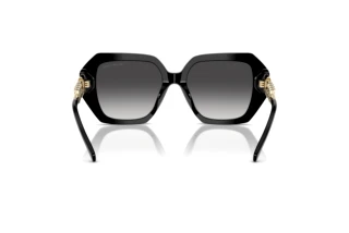 Achteraanzicht Michael Kors SOUTH BEACH (MK2232U - 30058G)