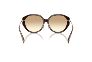 Achteraanzicht Michael Kors JINAN (MK2248D - 401613)
