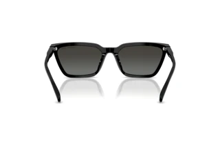 Achteraanzicht Michael Kors EVERGLADES (MK2250U - 300588)