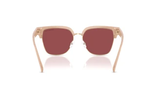 Achteraanzicht Michael Kors ST. EUSTATIUS (MK2262 - 4038E4)