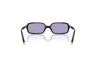 Achteraanzicht Miu Miu MU 11ZS (16K01O)