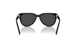 Achteraanzicht Miu Miu MU 12ZS (16K5S0)