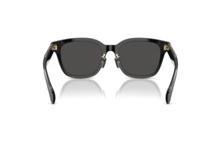 Achteraanzicht Moncler METROPE (ME6002D - 300187)