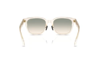 Achteraanzicht Moncler METROPE (ME6002D - 30032C)