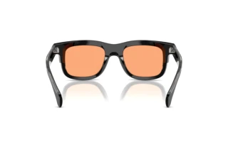 Achteraanzicht Moncler CLARO (ME6004 - 300174)