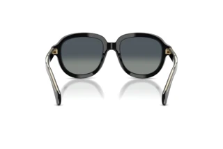 Achteraanzicht Moncler CIRSEE (ME6007U - 30013C)