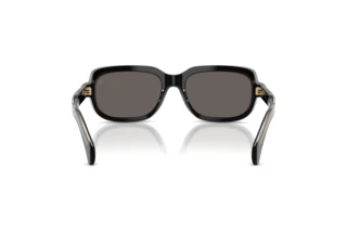 Achteraanzicht Moncler SUNTRAP (ME6008 - 300187)