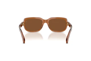 Achteraanzicht Moncler SUNTRAP (ME6008 - 3017/3)