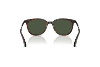 Achteraanzicht Moncler KORRA (ME6013 - 30029A)