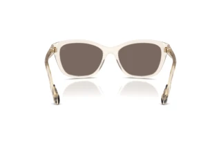 Achteraanzicht Moncler ME6031U (30032C)