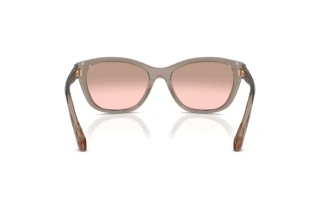 Achteraanzicht Moncler ME6031U (30097E)