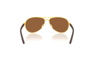 Achteraanzicht Oakley FEEDBACK (OO4079 - 407951)