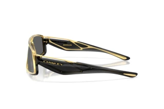 Zijaanzicht Oakley MASSILLON (OO6029 - 602901)