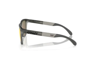 Zijaanzicht Oakley FROGSKINS RANGE (OO9284 - 928401)