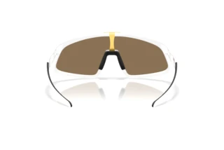 Achteraanzicht Oakley RSLV 141 (OO9524D - 952403)