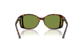 Achteraanzicht Persol PO0005 (24/4E)